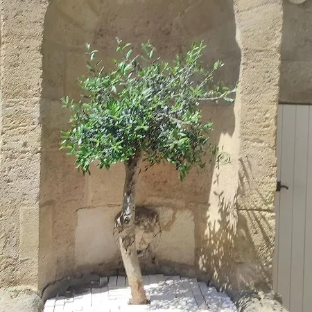 Rénové Centre Historique Appartamento